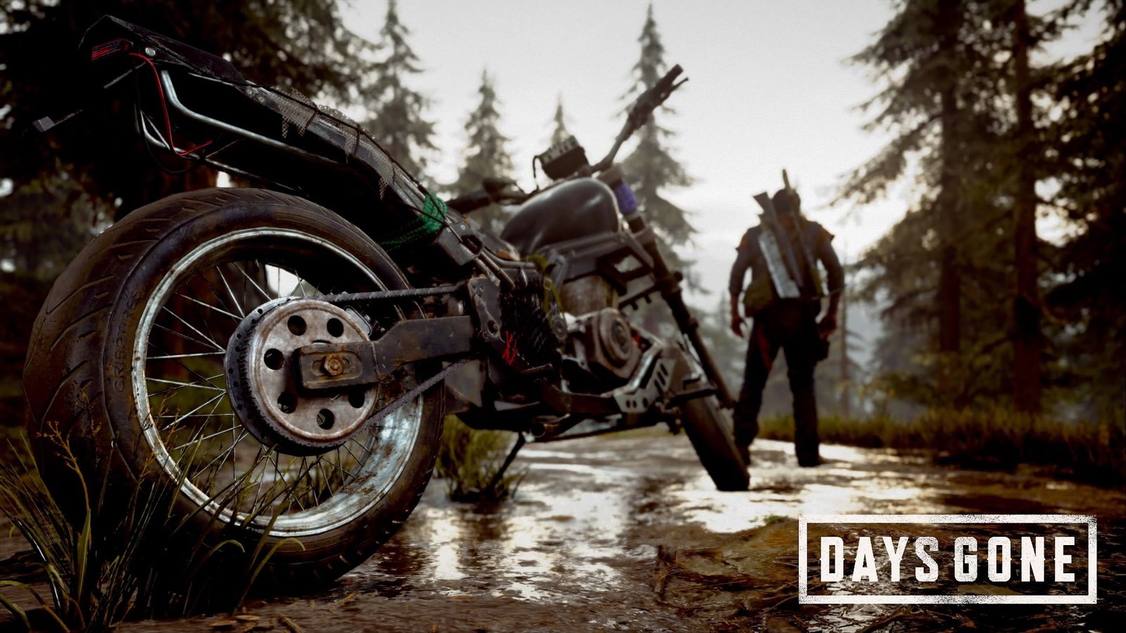 days gone home